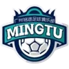 Guangdong Mingtu